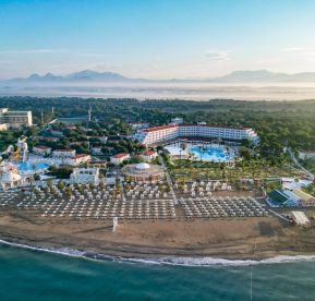 SELECTUM NOA BELEK